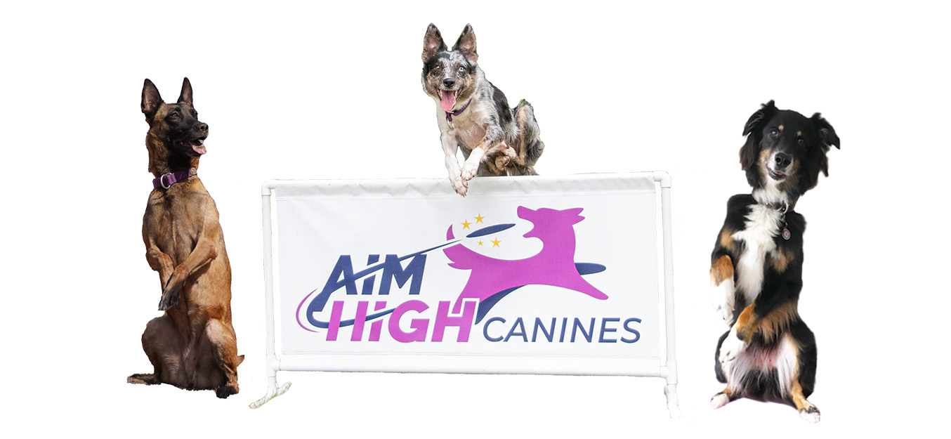 Big Butler Fair Act Aim High Canines